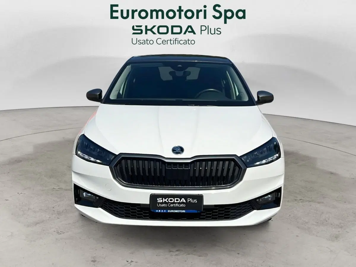 Skoda Fabia usata a Grosseto (8)