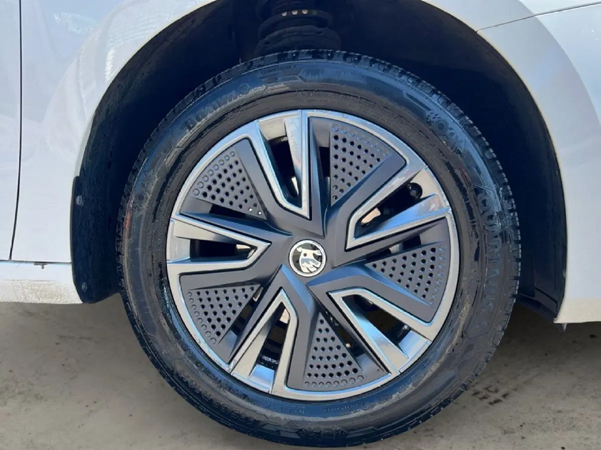 Skoda Fabia usata a Grosseto (9)