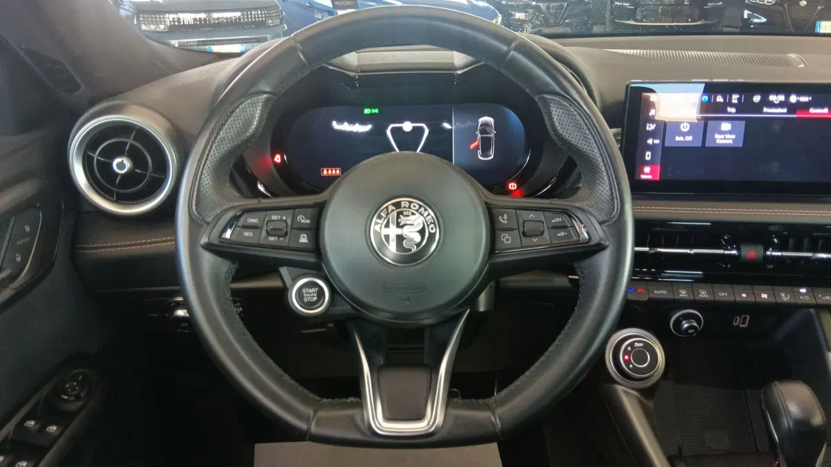 Alfa Romeo Tonale usata a Terni (12)
