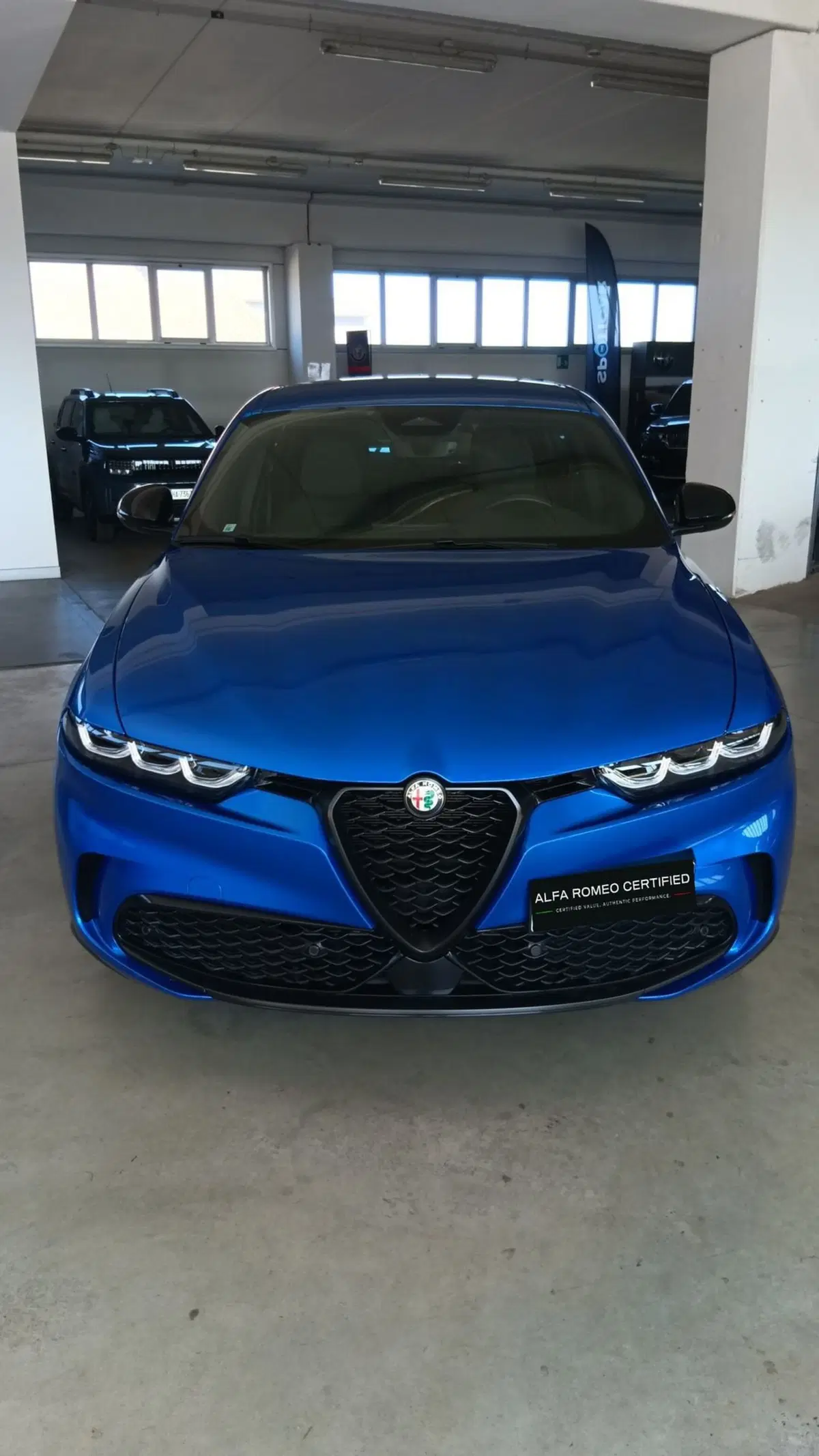 Alfa Romeo Tonale usata a Terni (2)