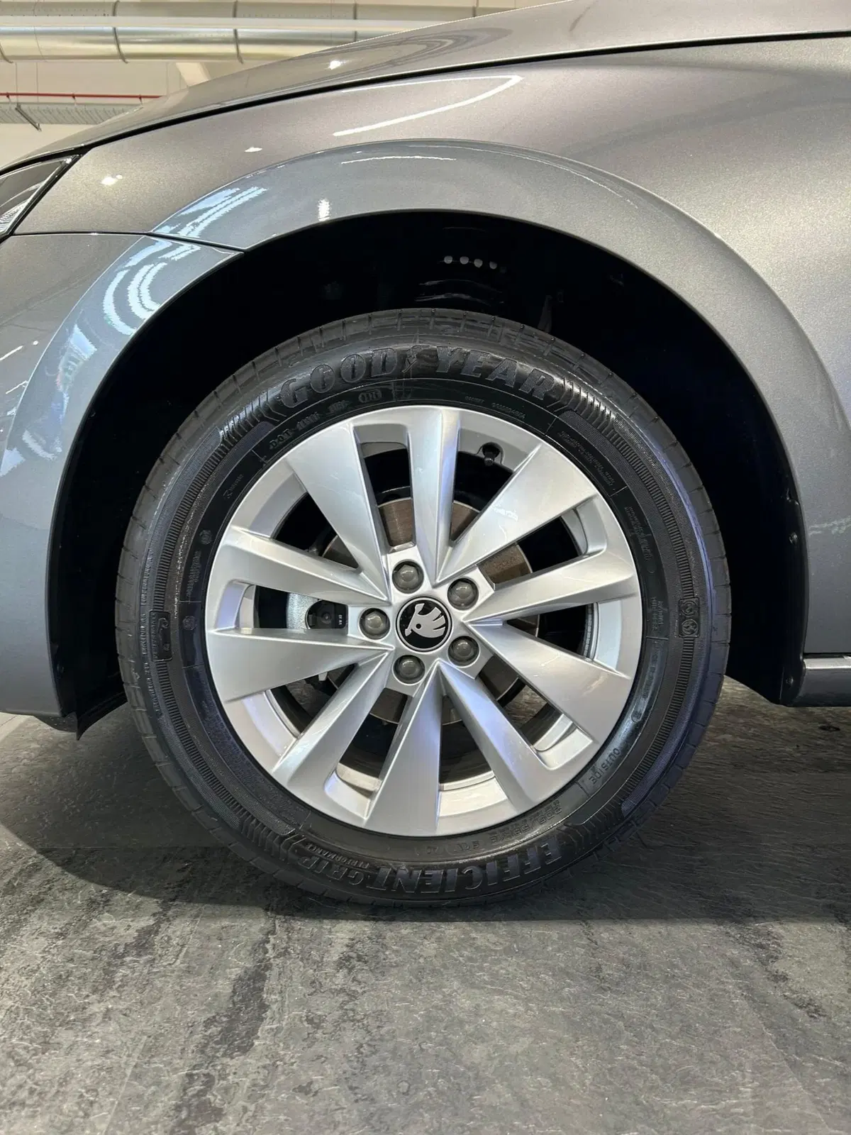 Skoda Scala nuova a Lecco (9)