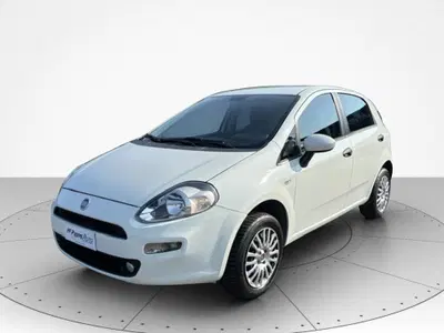 Fiat Punto 1.4 8V 5 porte Natural Power Street del 2014 usata a Civitanova Marche