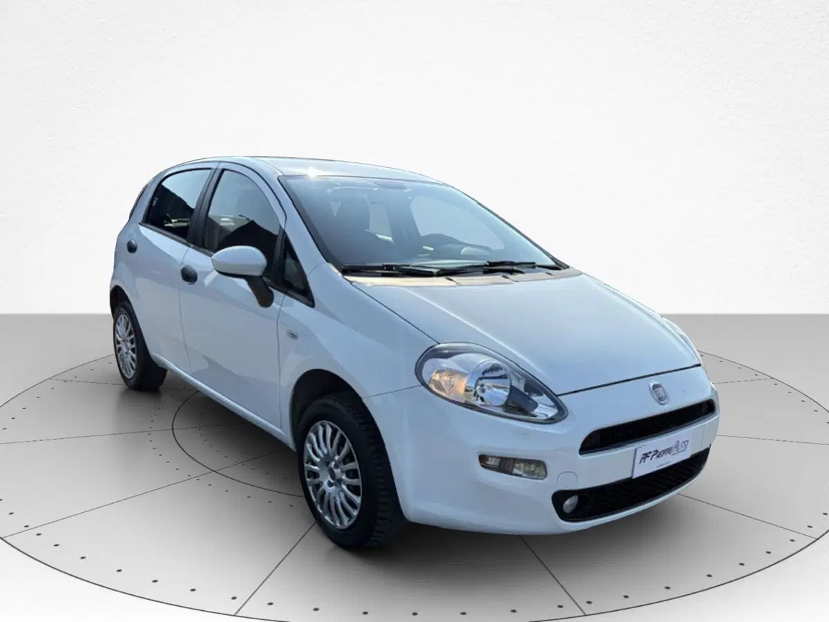 Fiat Punto usata a Macerata (2)