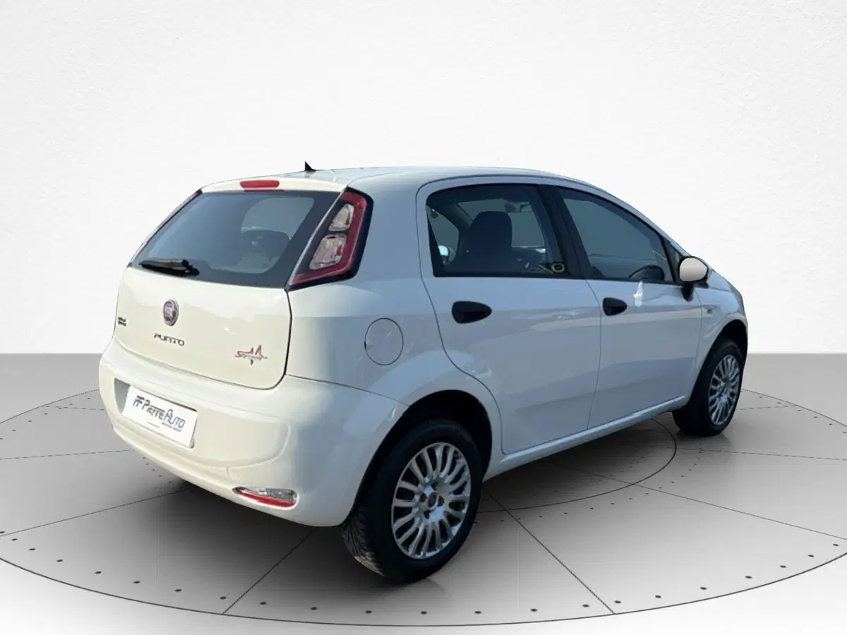 Fiat Punto usata a Macerata (3)