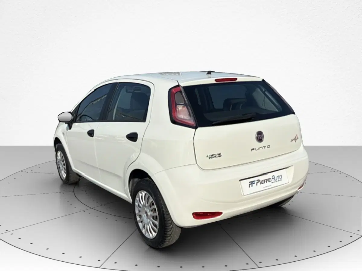 Fiat Punto usata a Macerata (4)