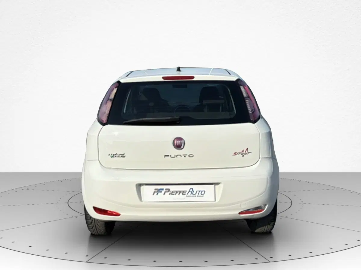 Fiat Punto usata a Macerata (6)
