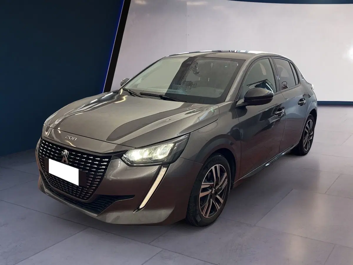 Peugeot 208 usata a Torino (2)