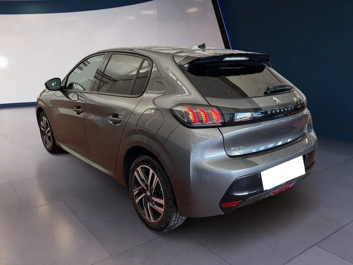 Peugeot 208 usata a Torino (6)