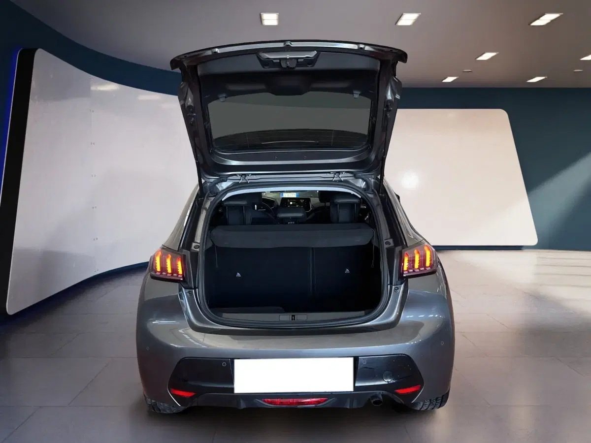 Peugeot 208 usata a Torino (7)