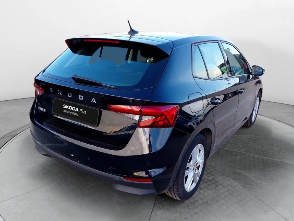 Skoda Fabia usata a Salerno (4)