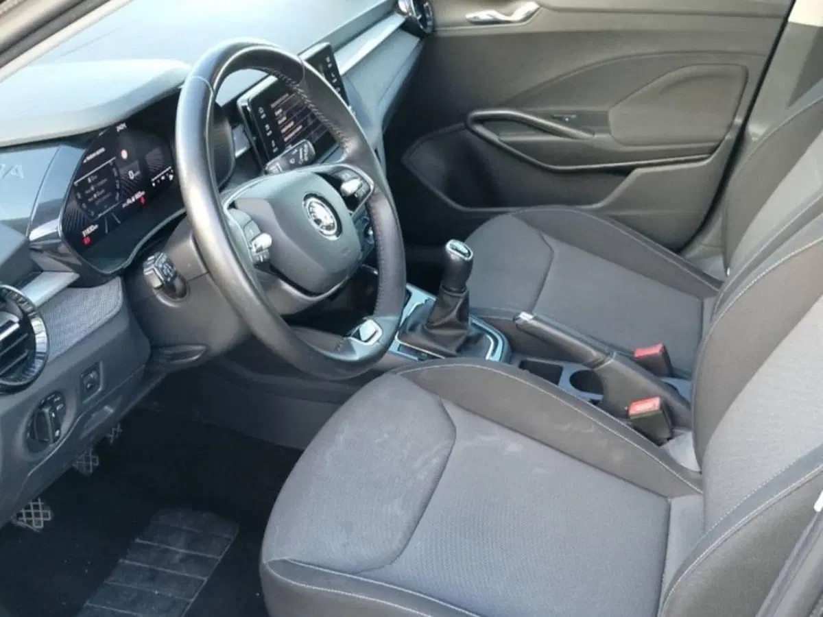 Skoda Fabia usata a Salerno (6)
