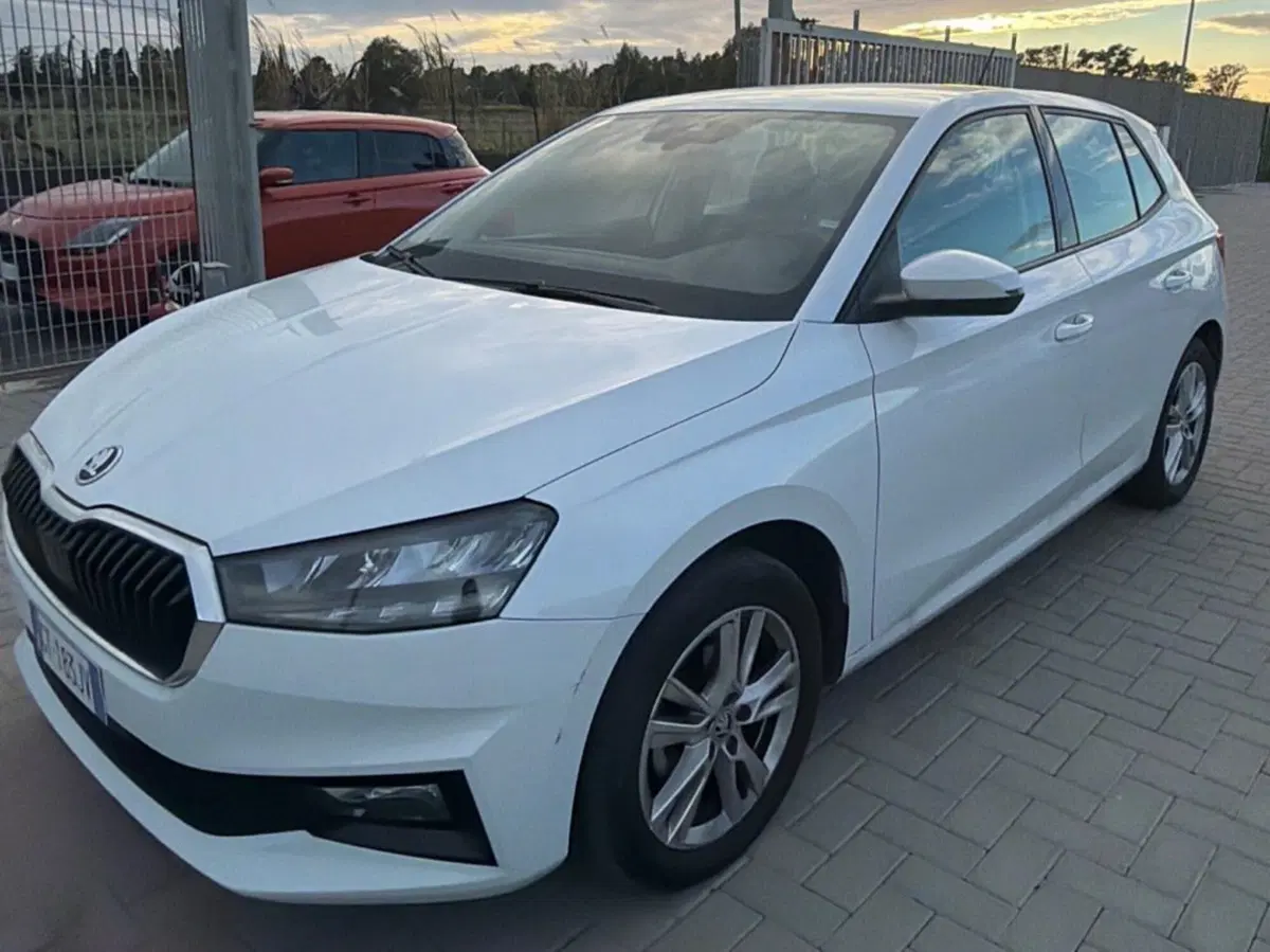 Skoda Fabia usata a Salerno