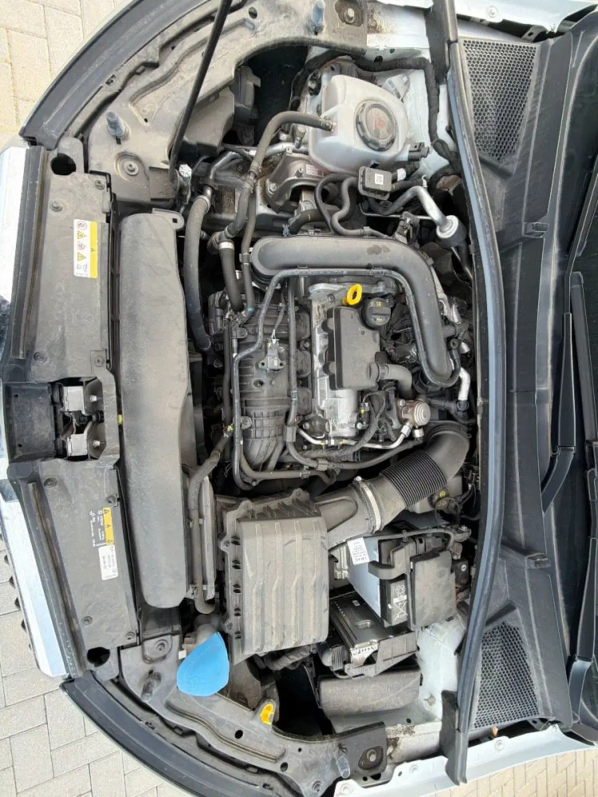 Skoda Fabia usata a Salerno (10)