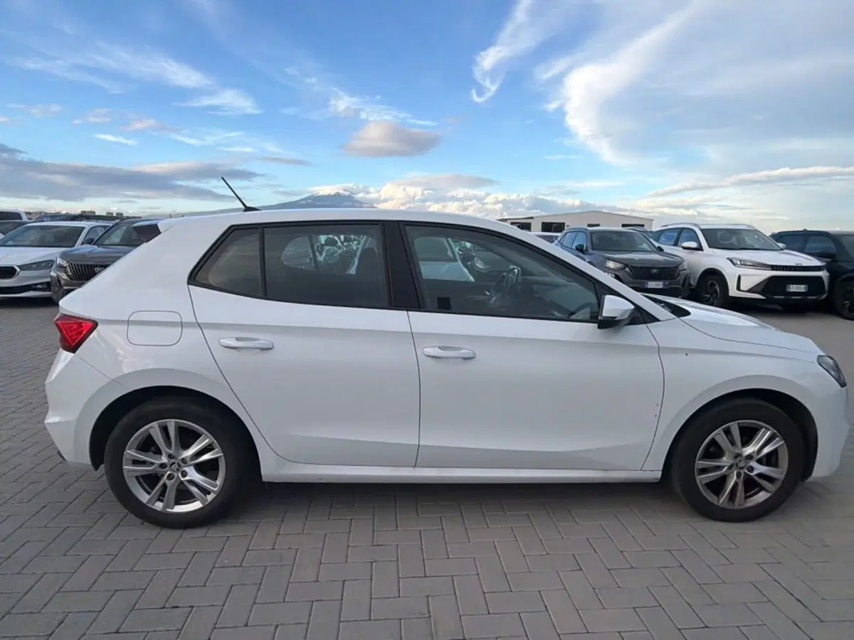 Skoda Fabia usata a Salerno (14)