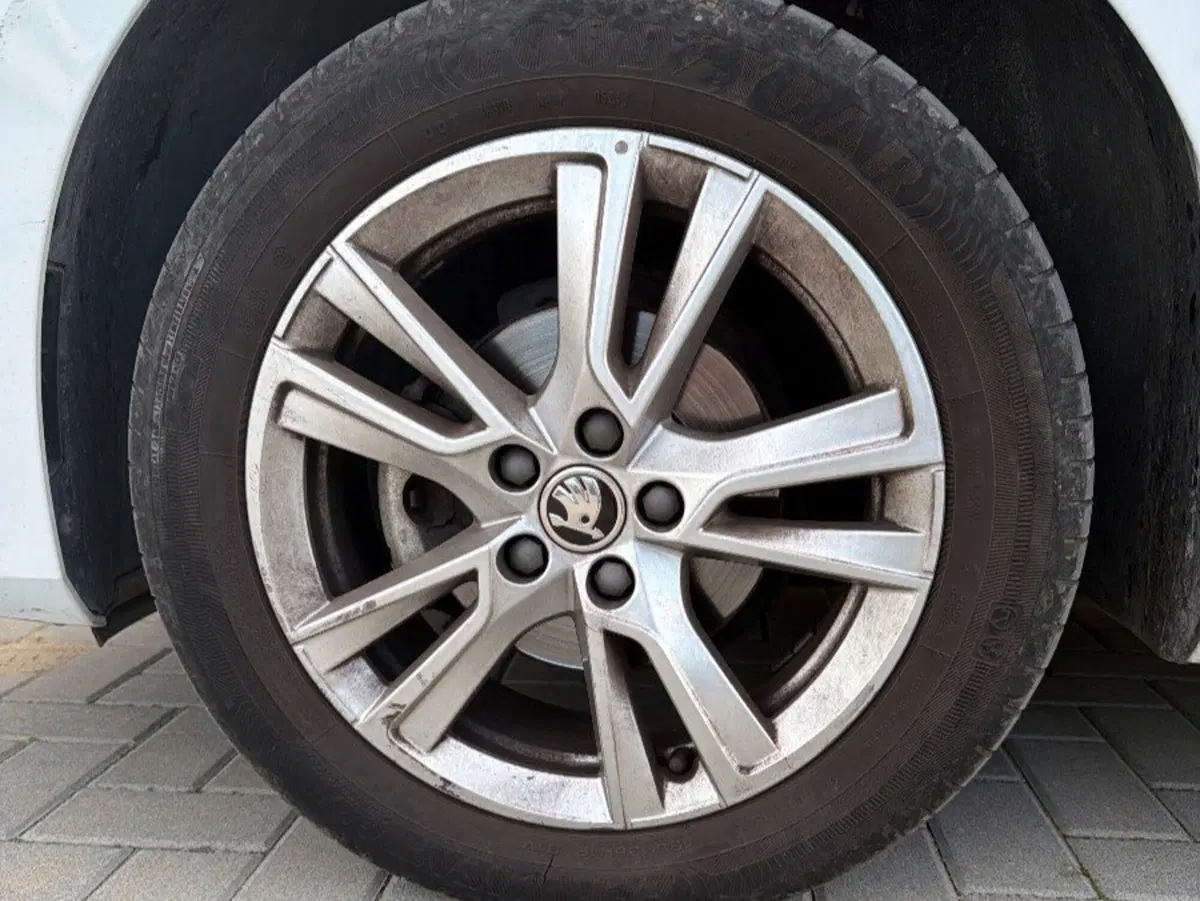 Skoda Fabia usata a Salerno (18)