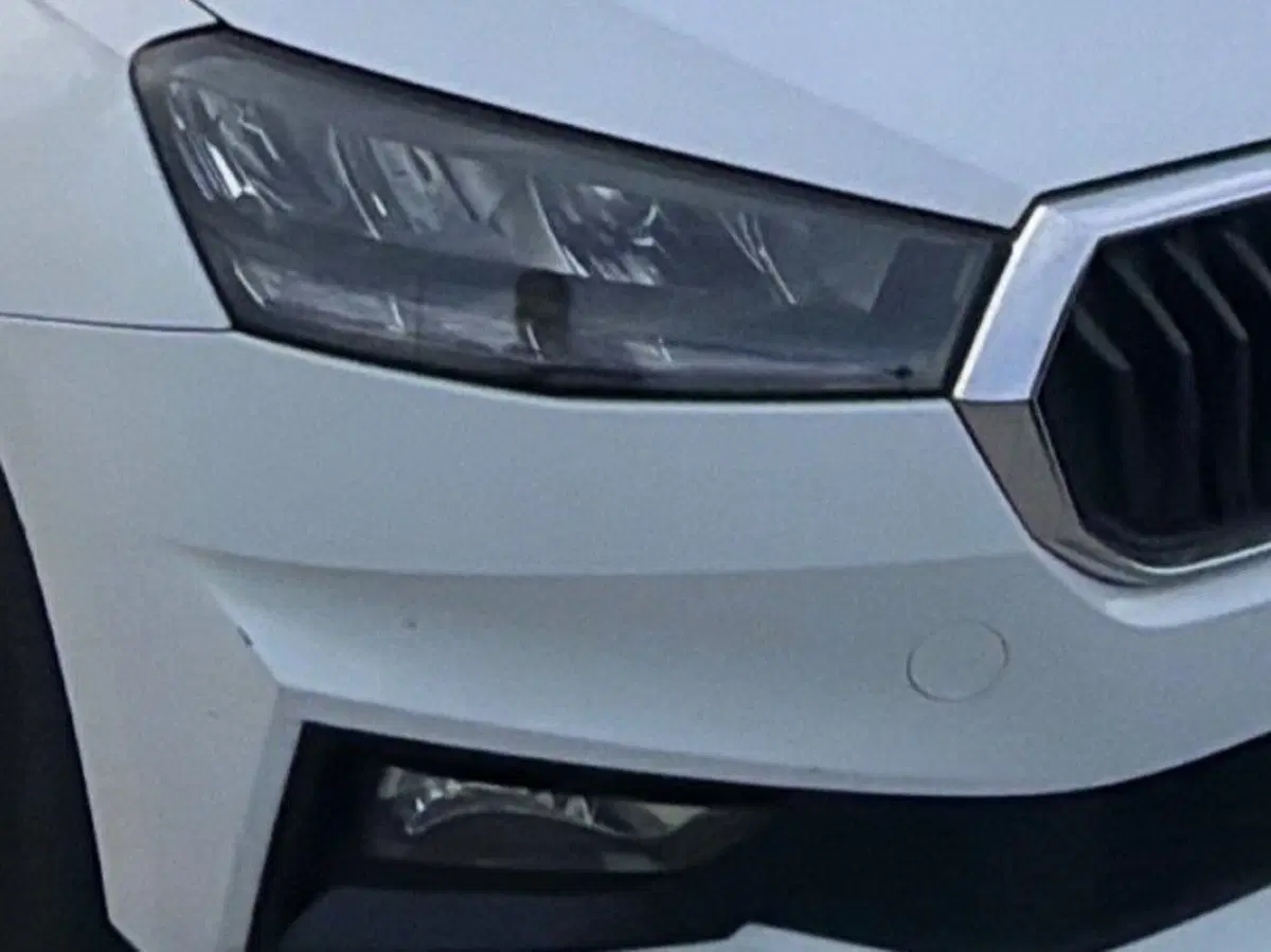 Skoda Fabia usata a Salerno (19)