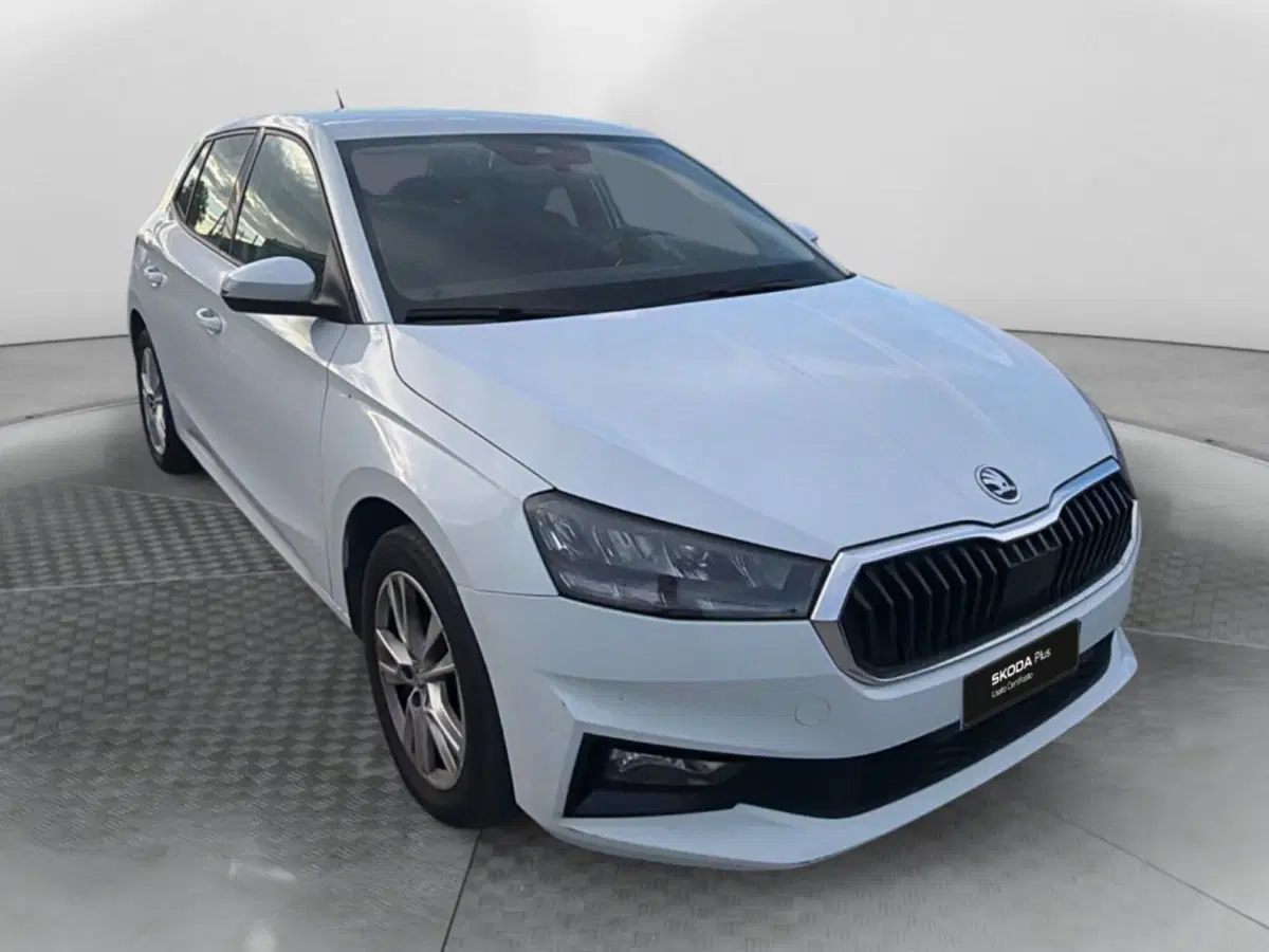 Skoda Fabia usata a Salerno (2)