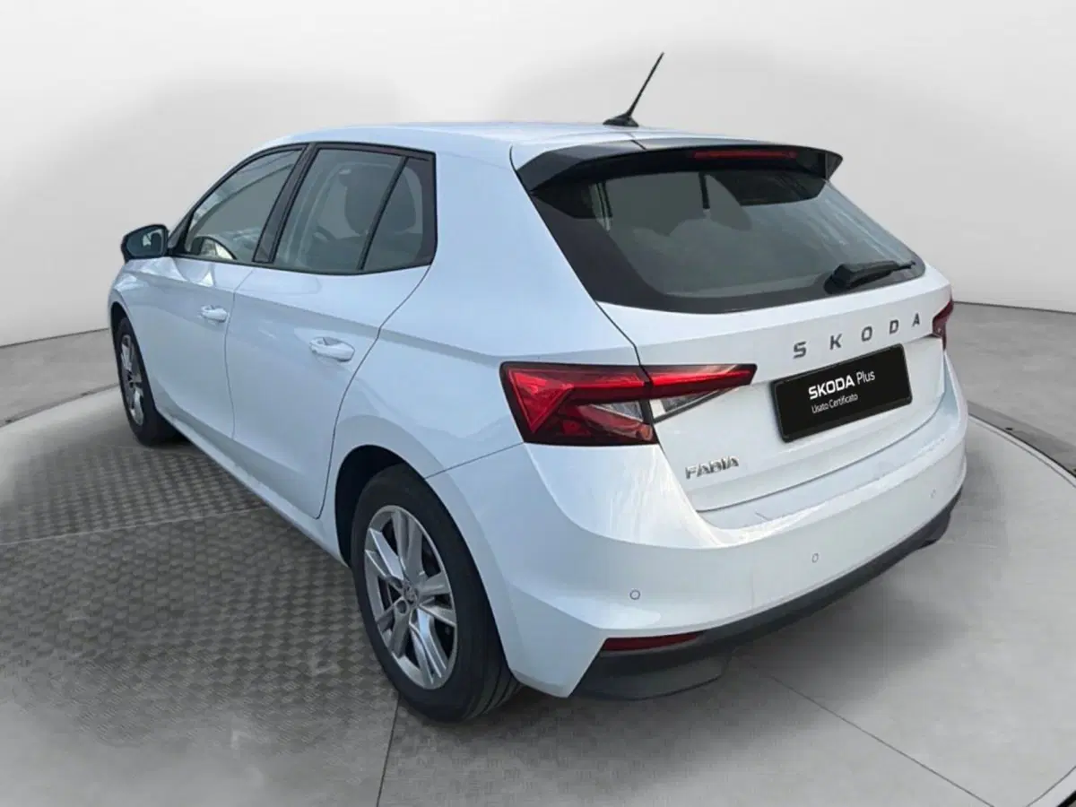 Skoda Fabia usata a Salerno (3)