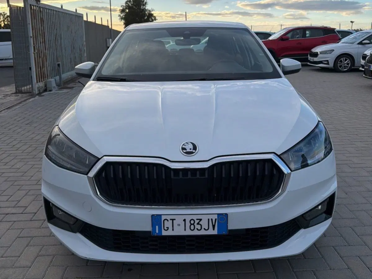 Skoda Fabia usata a Salerno (9)
