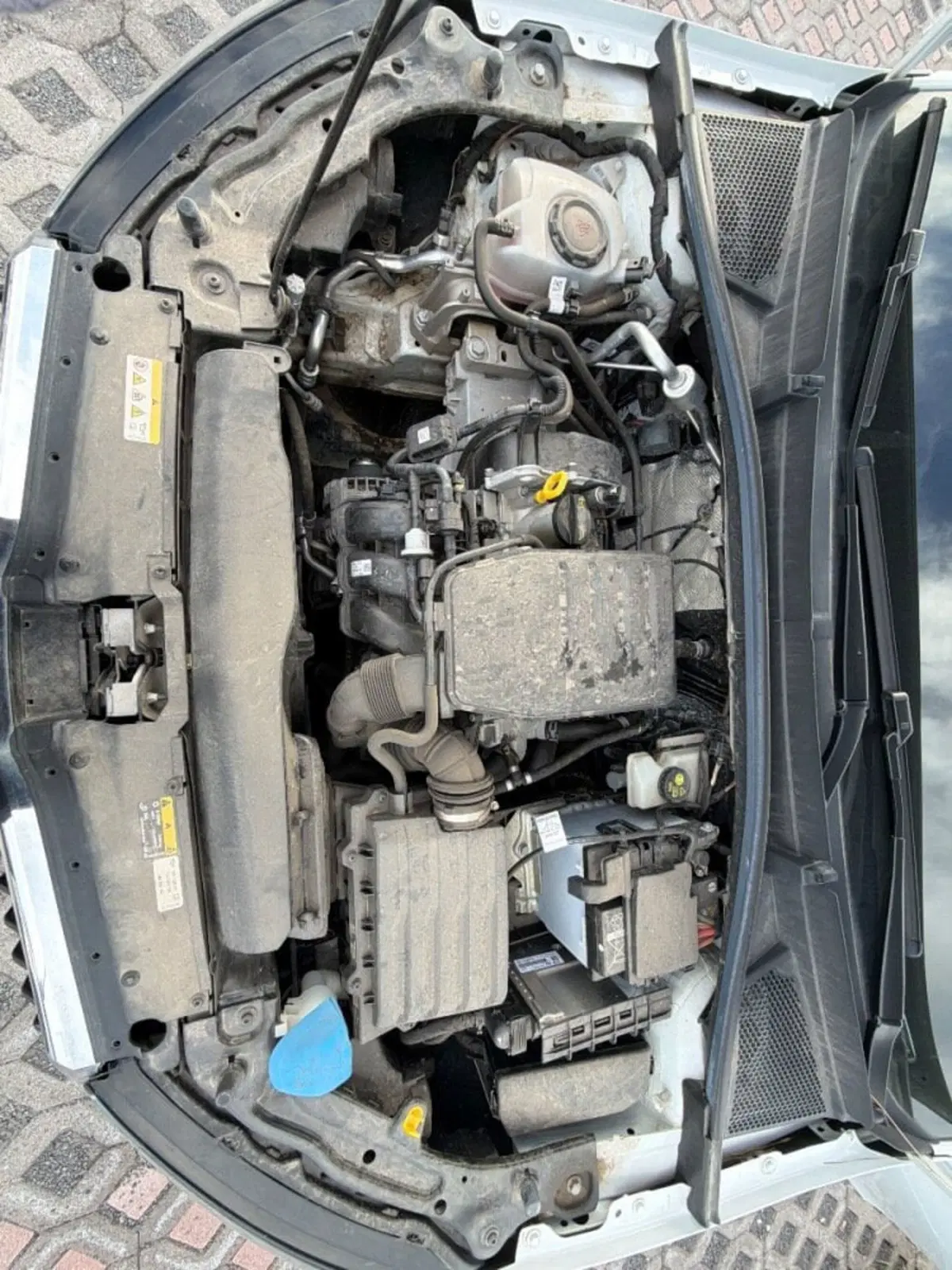 Skoda Fabia usata a Salerno (10)