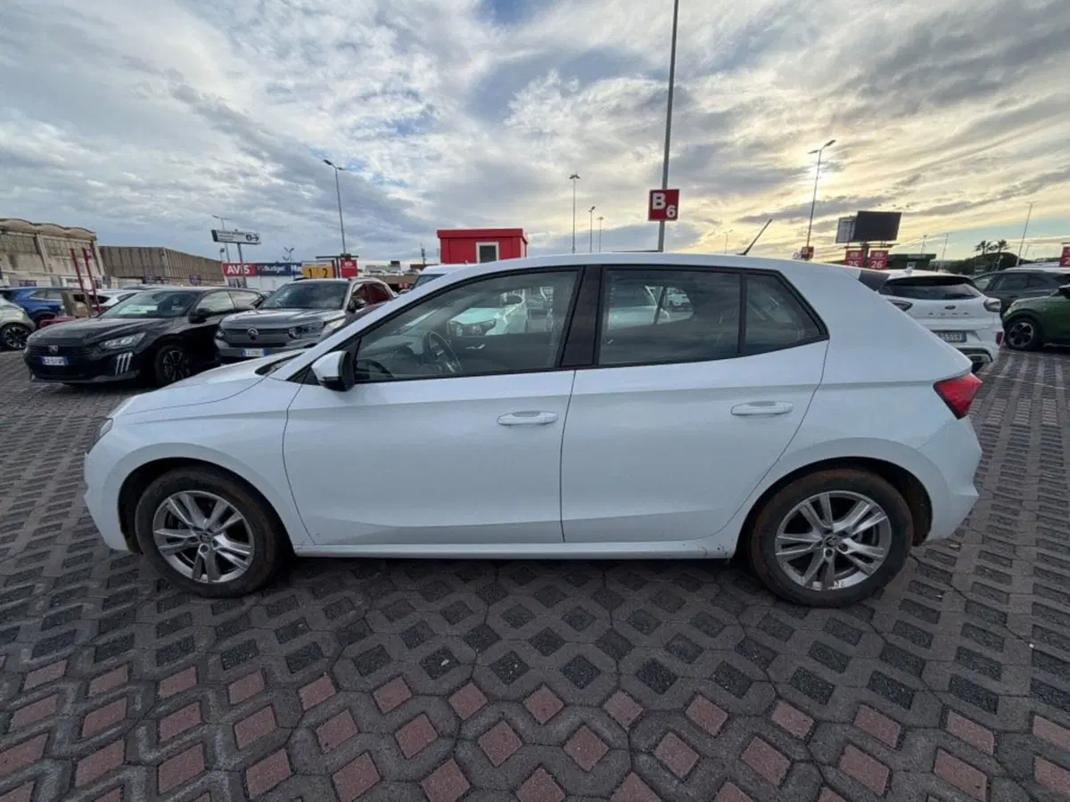 Skoda Fabia usata a Salerno (11)