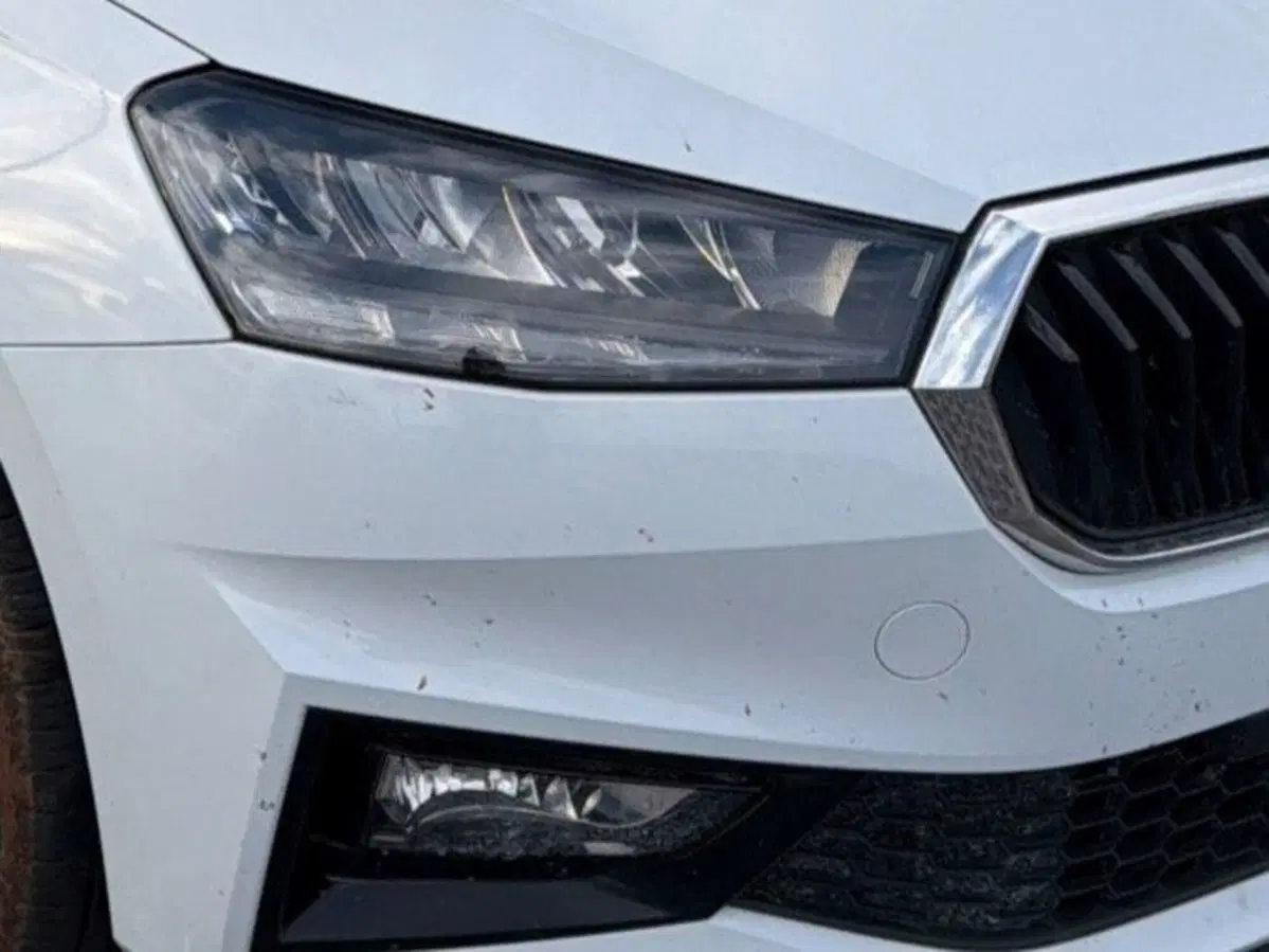 Skoda Fabia usata a Salerno (19)