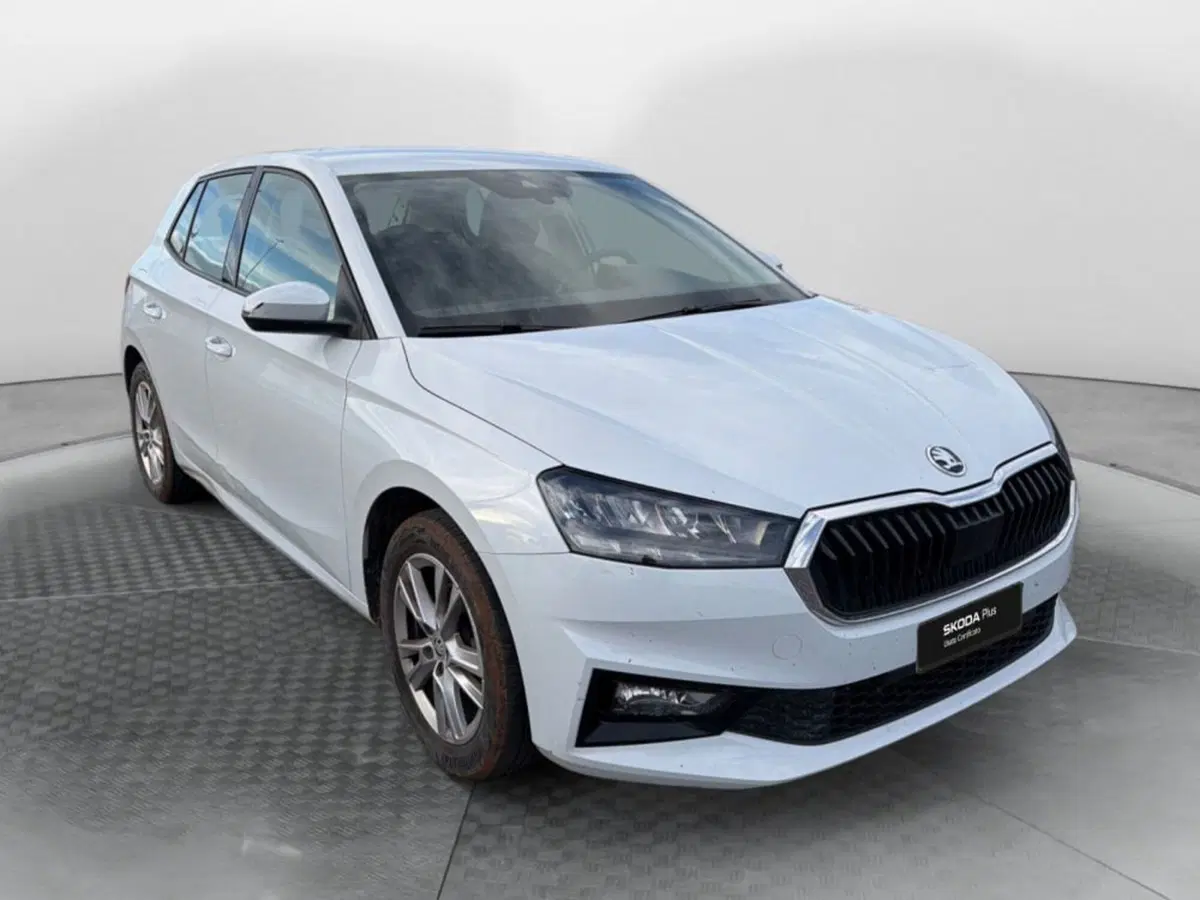 Skoda Fabia usata a Salerno (2)