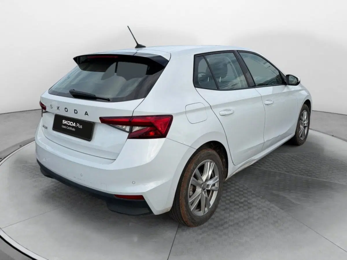 Skoda Fabia usata a Salerno (4)