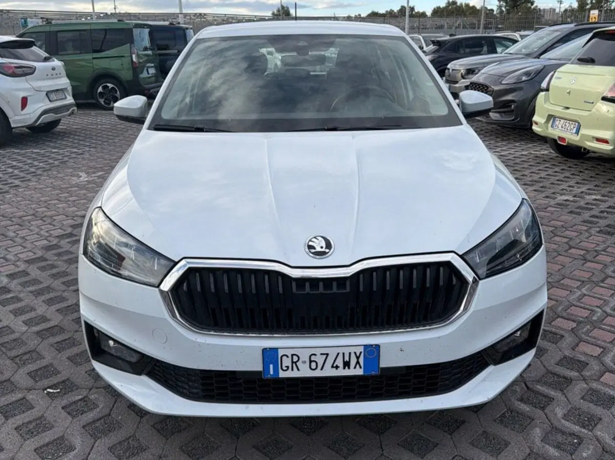 Skoda Fabia usata a Salerno (9)