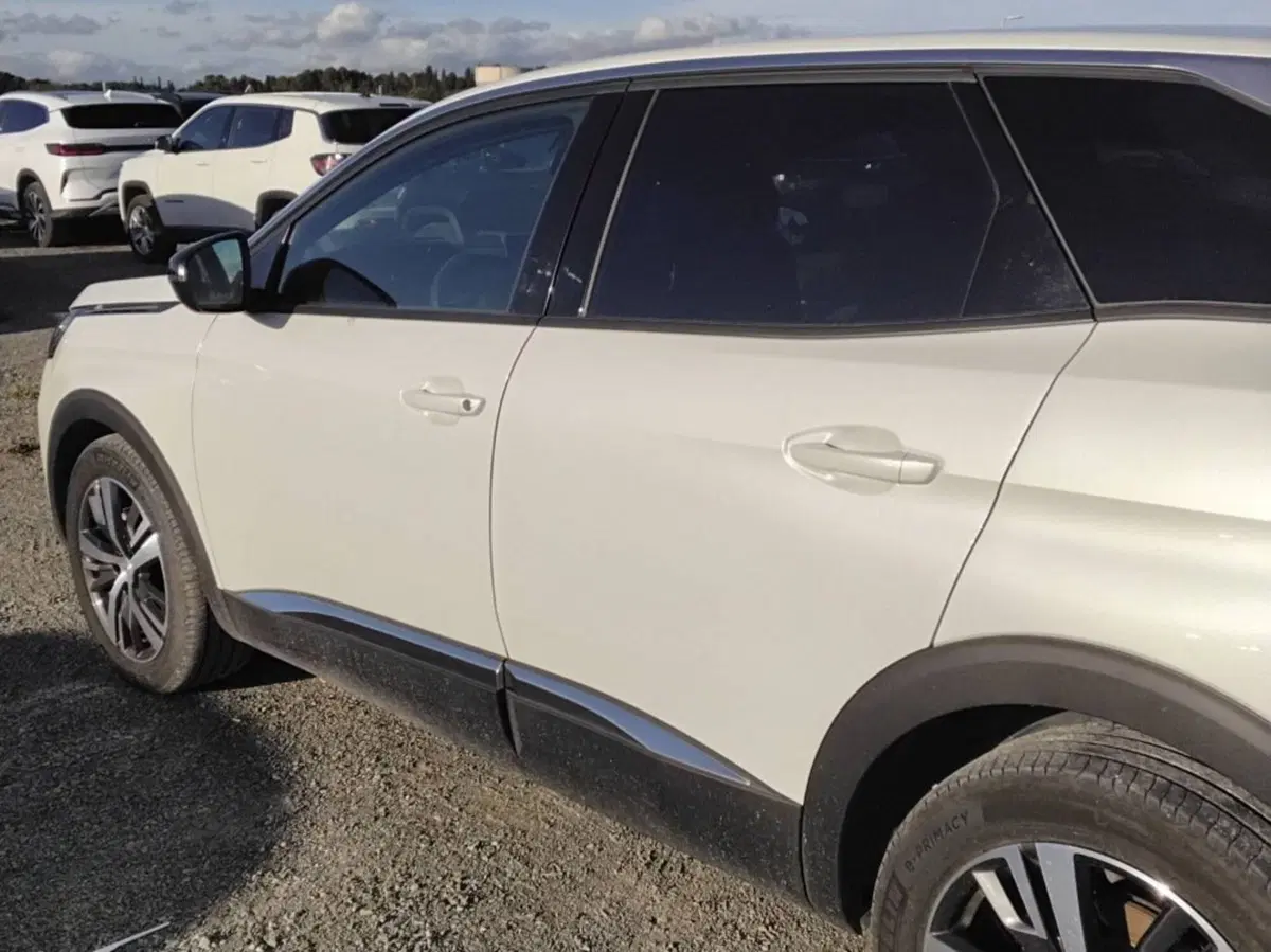 Peugeot 3008 usata a Salerno (12)