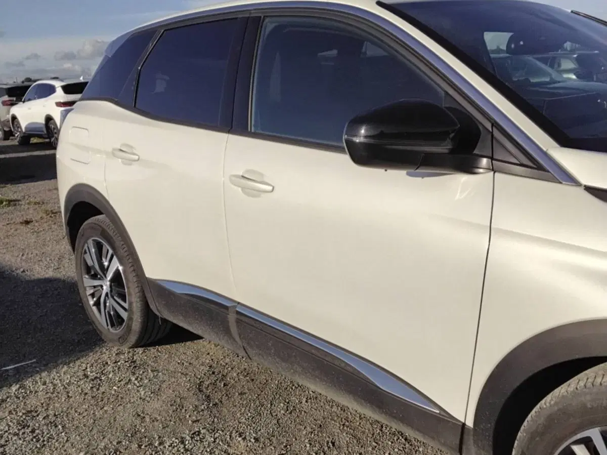 Peugeot 3008 usata a Salerno (18)