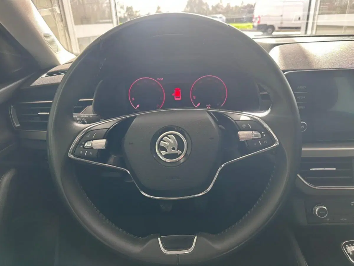 Skoda Kamiq usata a Salerno (8)