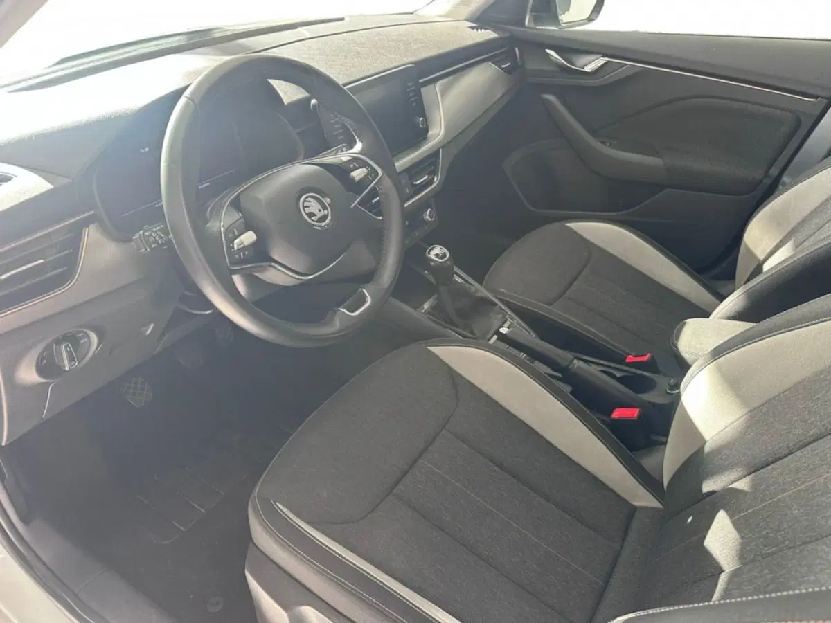 Skoda Kamiq usata a Salerno (4)