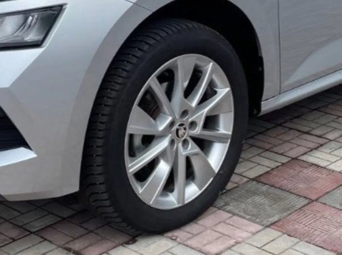 Skoda Kamiq usata a Salerno (10)