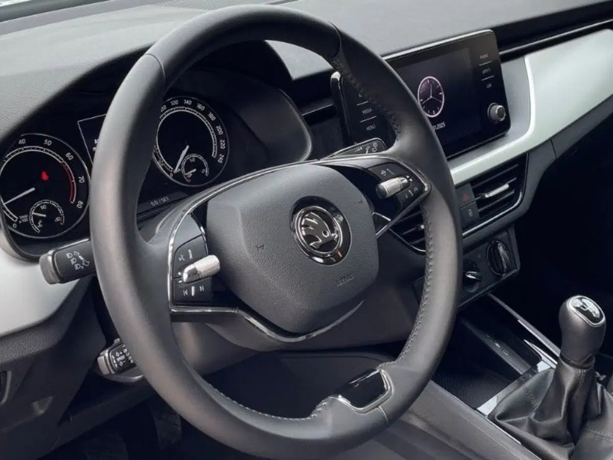 Skoda Kamiq usata a Salerno (9)