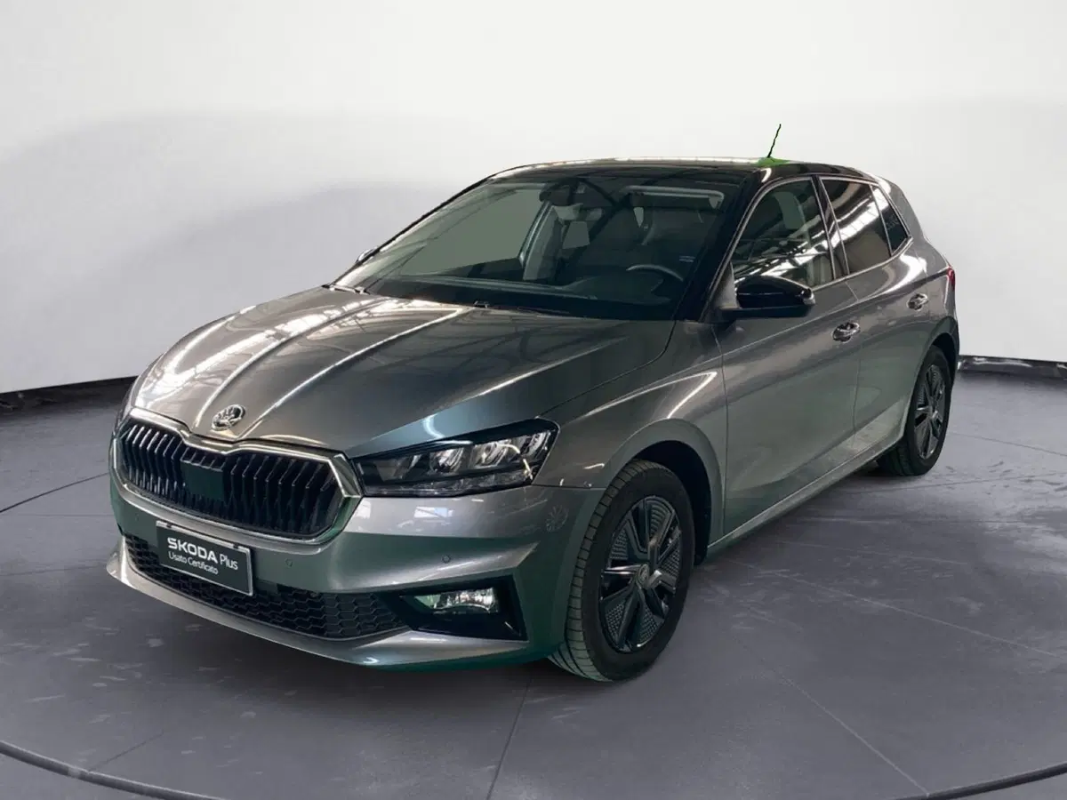 Skoda Fabia usata a Reggio Calabria