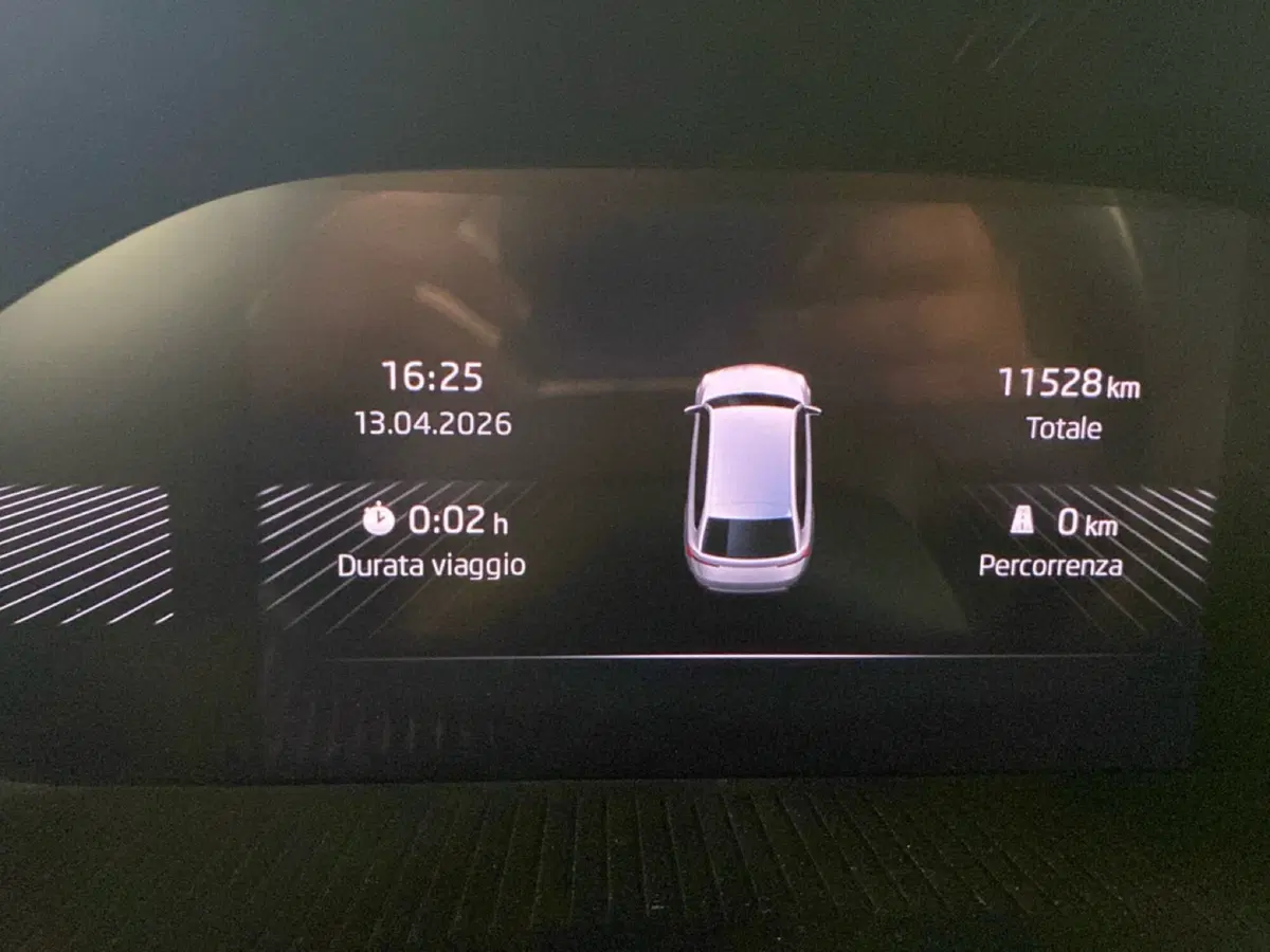 Skoda Fabia usata a Reggio Calabria (12)