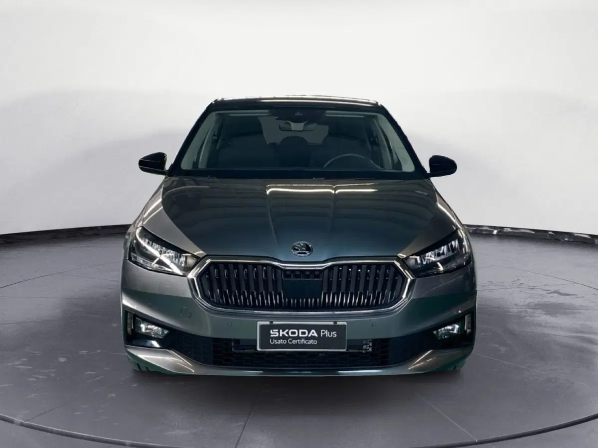 Skoda Fabia usata a Reggio Calabria (2)