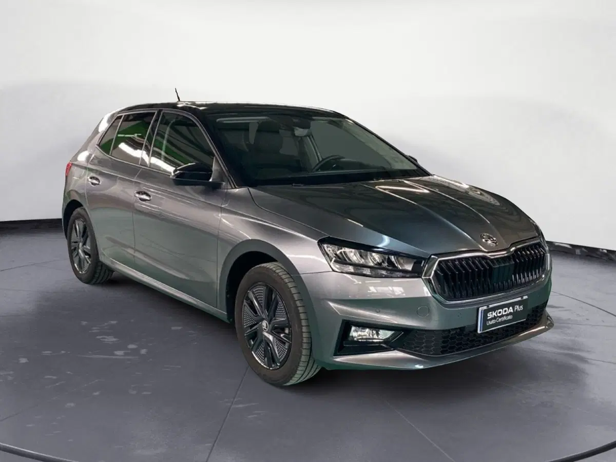 Skoda Fabia usata a Reggio Calabria (3)