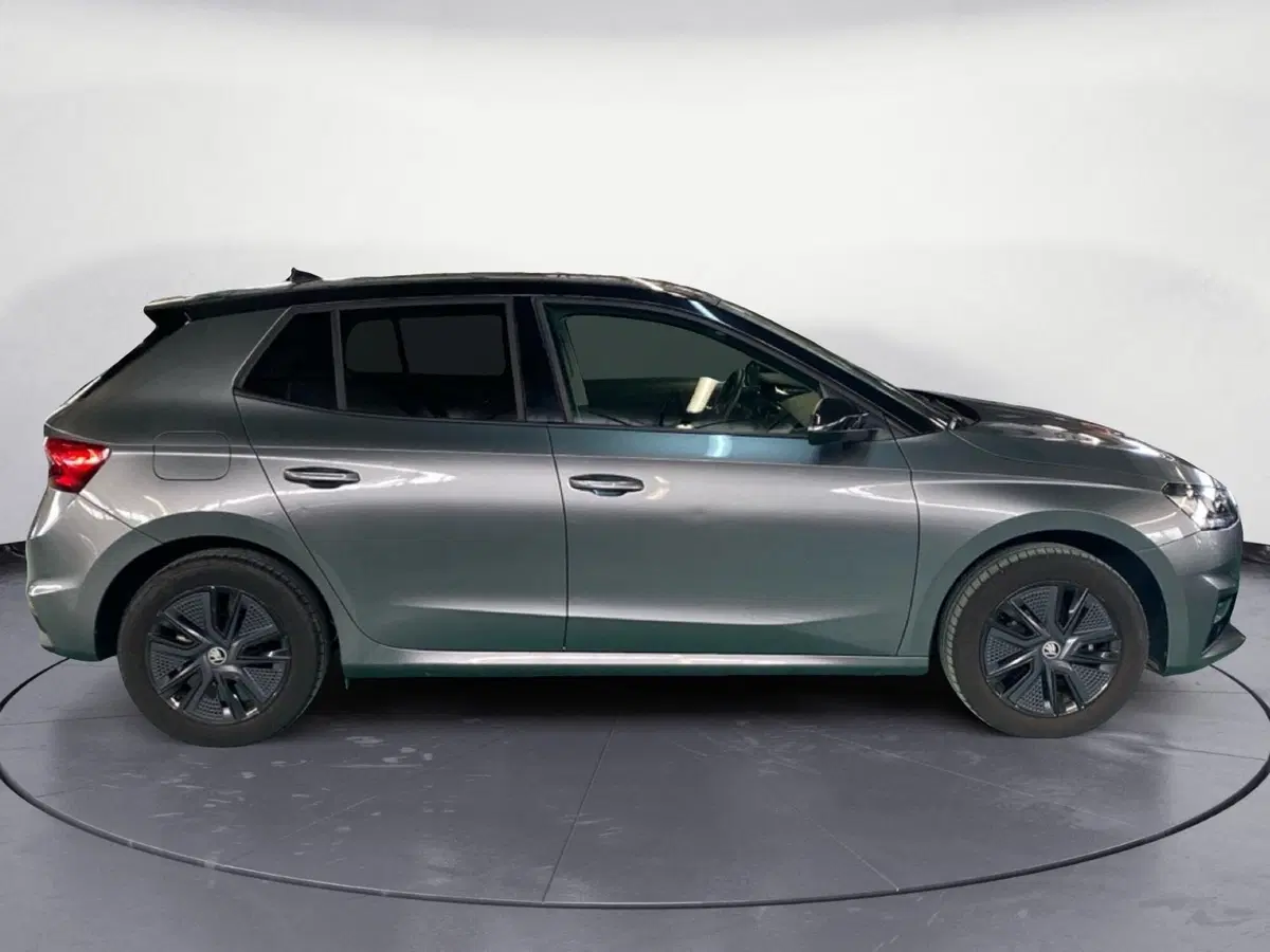 Skoda Fabia usata a Reggio Calabria (4)