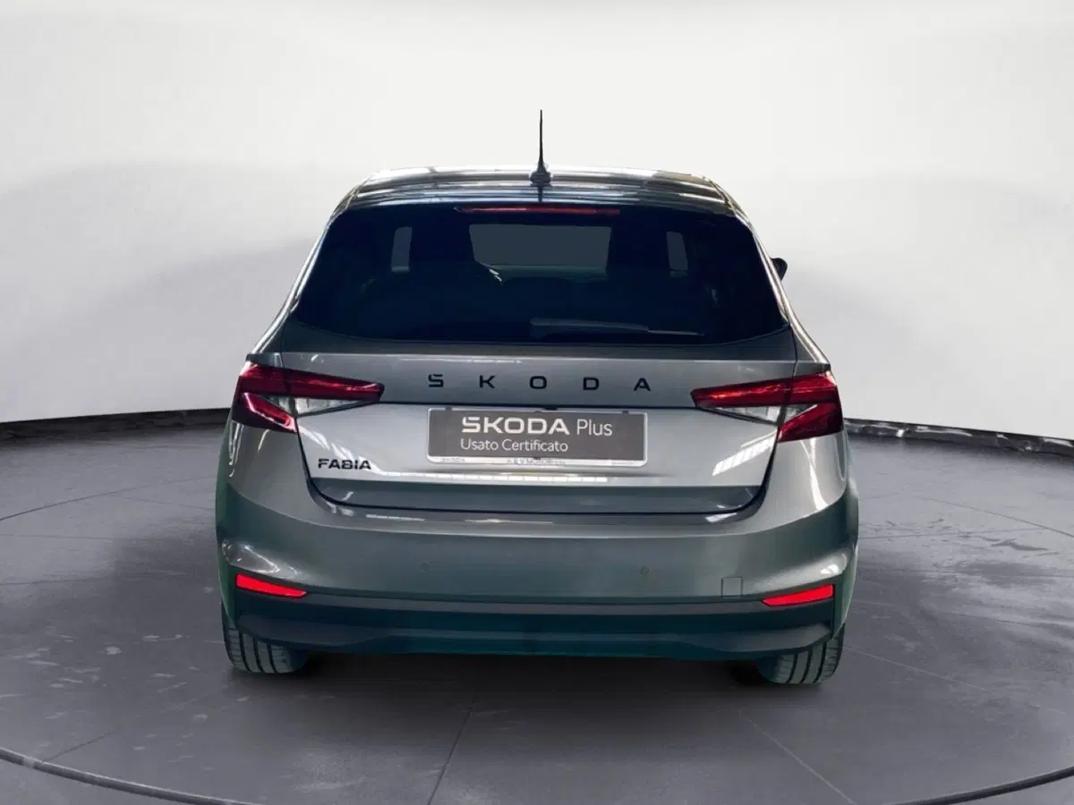 Skoda Fabia usata a Reggio Calabria (6)
