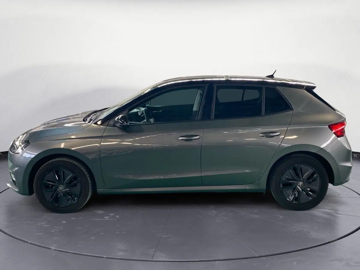 Skoda Fabia usata a Reggio Calabria (8)