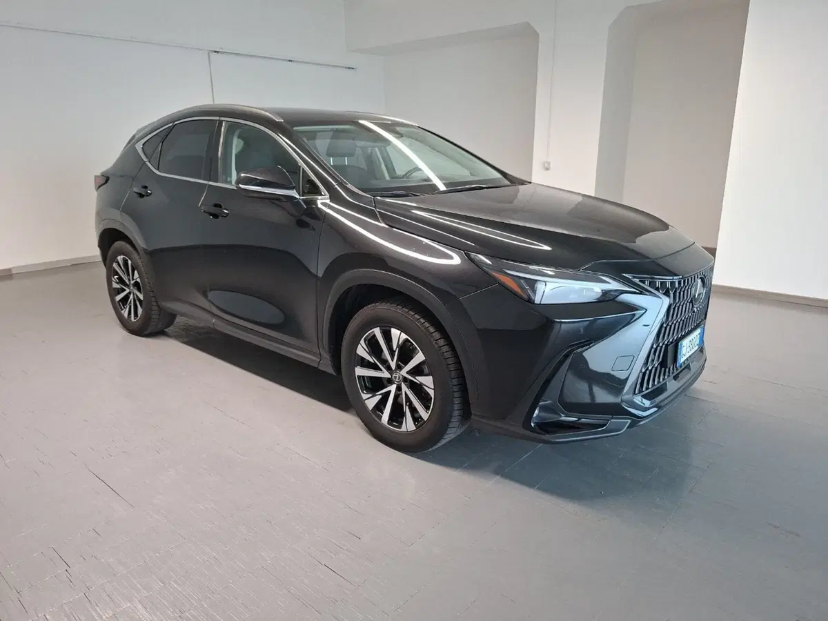 Lexus NX usata a Arezzo