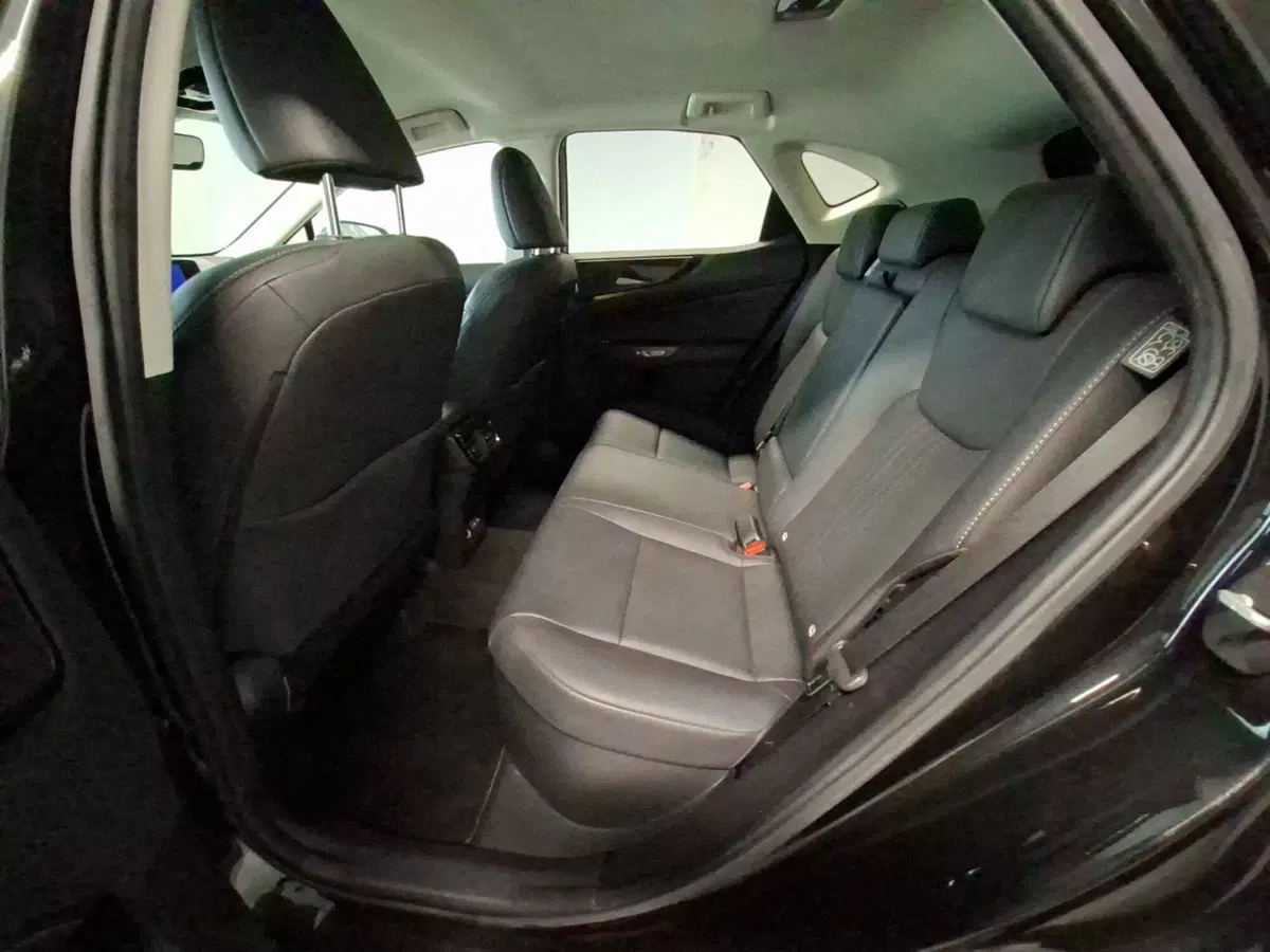 Lexus NX usata a Arezzo (14)