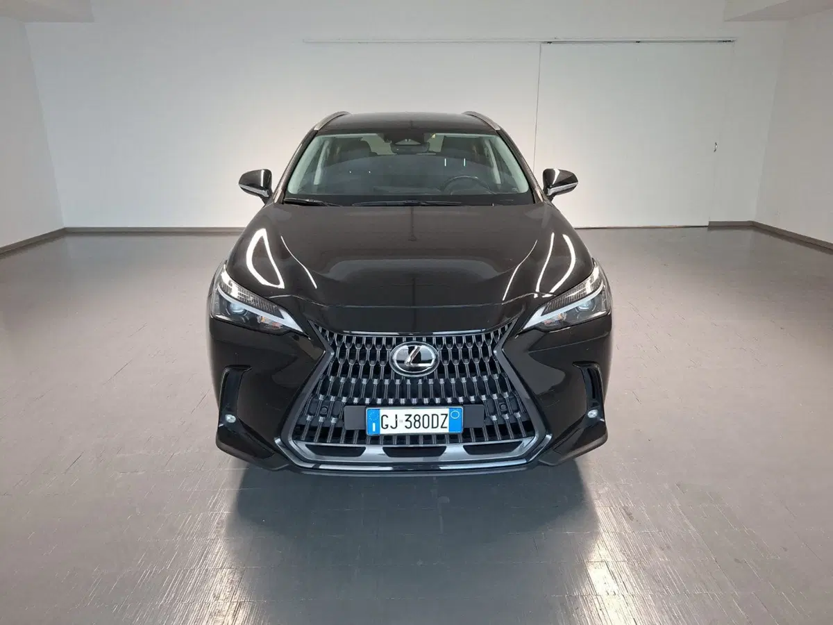 Lexus NX usata a Arezzo (2)