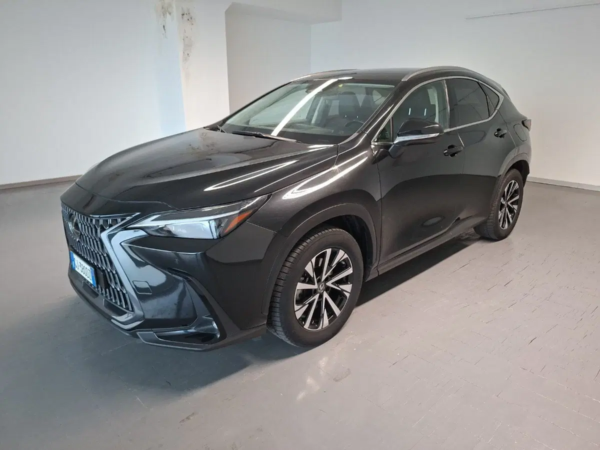 Lexus NX usata a Arezzo (3)