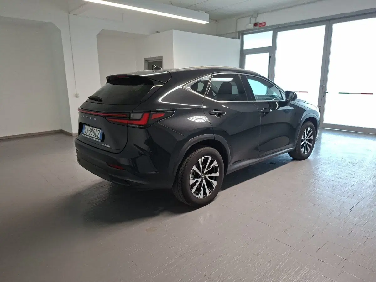Lexus NX usata a Arezzo (4)