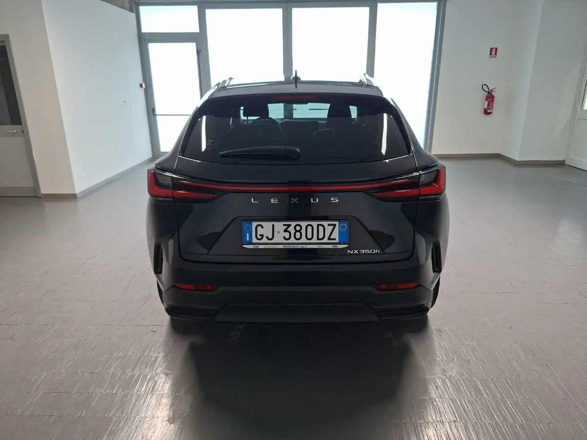 Lexus NX usata a Arezzo (5)