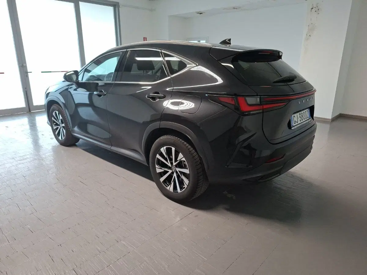 Lexus NX usata a Arezzo (6)