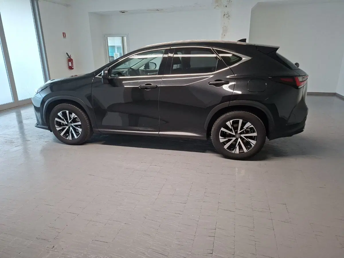 Lexus NX usata a Arezzo (7)